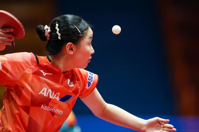 了深厚感情 了深厚感情