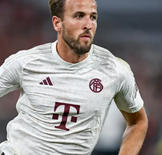 多项大型电 多项大型电